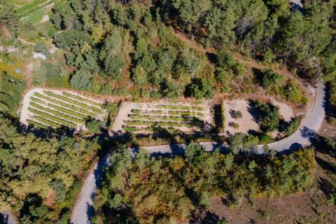 Helårsgrund i Amarante, Porto, Amarante - € 52.000 | Ref: ZMPT552161 - foto 7