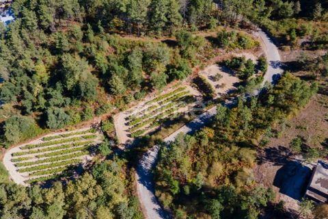 Helårsgrund i Amarante, Porto, Amarante - € 52.000 | Ref: ZMPT552161 - foto 9