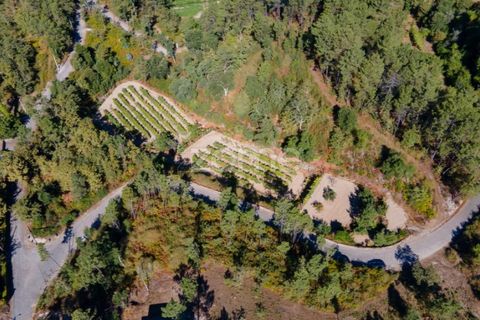 Helårsgrund i Amarante, Porto, Amarante - € 52.000 | Ref: ZMPT552161 - foto 10