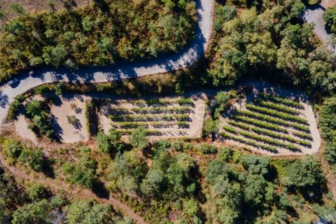 Helårsgrund i Amarante, Porto, Amarante - € 52.000 | Ref: ZMPT552161 - foto 13
