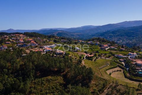Helårsgrund i Amarante, Porto, Amarante - € 52.000 | Ref: ZMPT552161 - foto 19