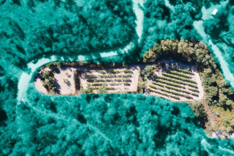 Helårsgrund i Amarante, Porto, Amarante - € 52.000 | Ref: ZMPT552161 - foto 27