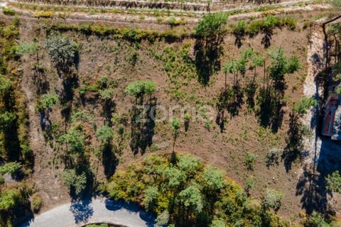 Helårsgrund i Amarante, Porto, Amarante - € 18.500 | Ref: ZMPT552162 - foto 1
