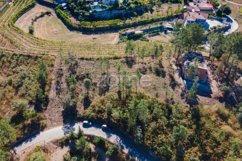 Helårsgrund i Amarante, Porto, Amarante - € 18.500 | Ref: ZMPT552162 - foto 3