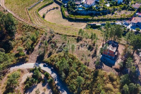 Helårsgrund i Amarante, Porto, Amarante - € 18.500 | Ref: ZMPT552162 - foto 4