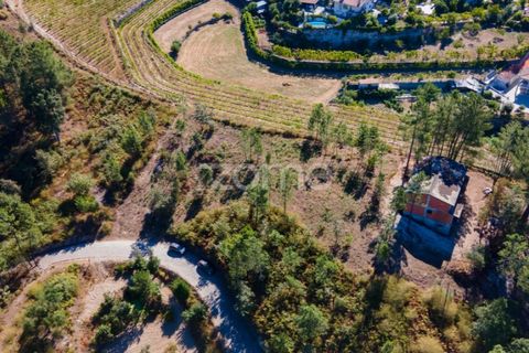 Helårsgrund i Amarante, Porto, Amarante - € 18.500 | Ref: ZMPT552162 - foto 5