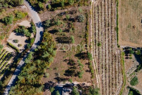Helårsgrund i Amarante, Porto, Amarante - € 18.500 | Ref: ZMPT552162 - foto 6