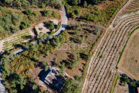 Helårsgrund i Amarante, Porto, Amarante - € 18.500 | Ref: ZMPT552162 - foto 9