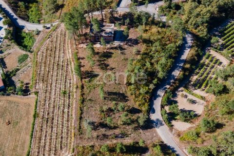 Helårsgrund i Amarante, Porto, Amarante - € 18.500 | Ref: ZMPT552162 - foto 10