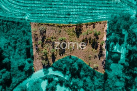 Helårsgrund i Amarante, Porto, Amarante - € 18.500 | Ref: ZMPT552162 - foto 19