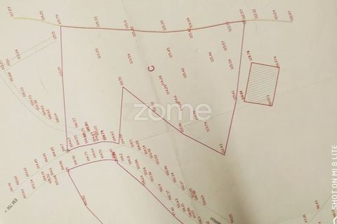 Helårsgrund i Amarante, Porto, Amarante - € 18.500 | Ref: ZMPT552162 - foto 20