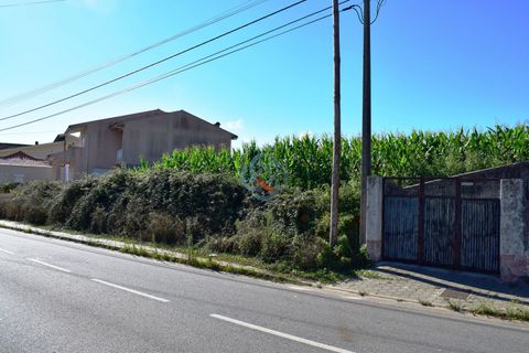 Helårsgrund i Ovar, Aveiro, Ovar - € 80.000 | Ref: 4128 - foto 3