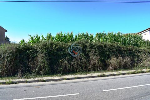 Helårsgrund i Ovar, Aveiro, Ovar - € 80.000 | Ref: 4128 - foto 4