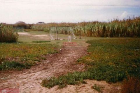 Helårsgrund i Peniche, Leiria, Peniche - € 1.700.000 | Ref: TPH001-189 - foto 3