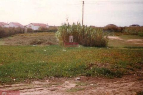 Helårsgrund i Peniche, Leiria, Peniche - € 1.700.000 | Ref: TPH001-189 - foto 4