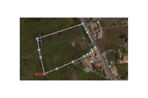 Helårsgrund i Peniche, Leiria, Peniche - € 1.700.000 | Ref: TPH001-189 - foto 6