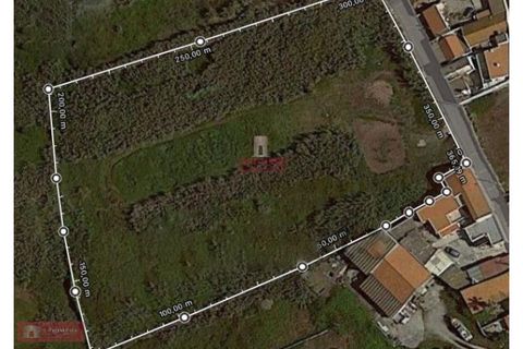Helårsgrund i Peniche, Leiria, Peniche - € 1.700.000 | Ref: TPH001-189 - foto 1