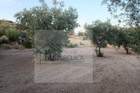Villa a Sortelha, Guarda, Sortelha - € 70.000 | Ref: House_182 - foto 7