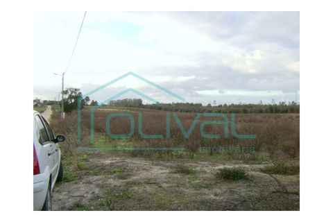 Helårsgrund i Benavente, Santarem, Benavente - € 350.000 | Ref: TB02 - foto 3