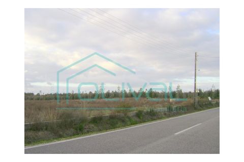 Helårsgrund i Benavente, Santarem, Benavente - € 350.000 | Ref: TB02 - foto 4