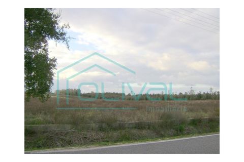 Helårsgrund i Benavente, Santarem, Benavente - € 350.000 | Ref: TB02 - foto 5