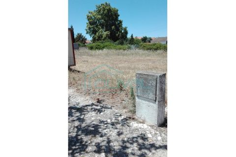 Tomt i Benavente, Santarem, Benavente - € 50 000 | Ref: TB03 - foto 2