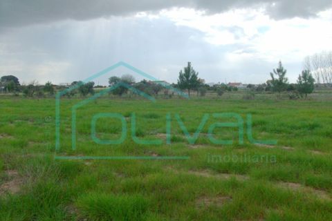 Helårsgrund i Coruche, Santarem, Coruche - € 79.000 | Ref: TS67 - foto 2