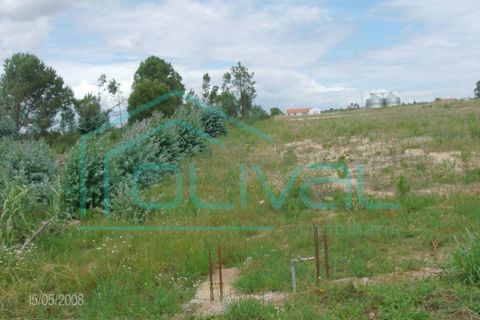 Helårsgrund i Coruche, Santarem, Coruche - € 79.000 | Ref: TS67 - foto 3
