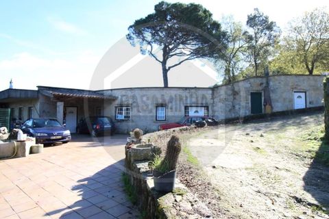 Villa i Viana do Castelo, Viana do Castelo, Viana do Castelo - € 370.000 | Ref: CM2020060028 - foto 20