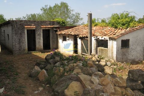Villa i Miranda do Corvo, Coimbra, Miranda do Corvo - € 49.000 | Ref: ko2335 - foto 11