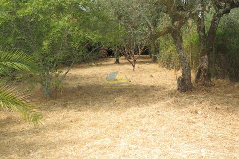 Villa i Miranda do Corvo, Coimbra, Miranda do Corvo - € 49.000 | Ref: ko2335 - foto 15
