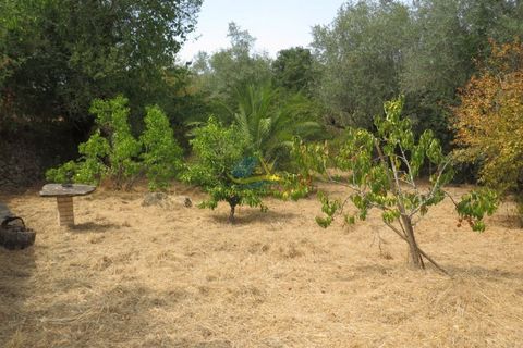 Villa i Miranda do Corvo, Coimbra, Miranda do Corvo - € 49.000 | Ref: ko2335 - foto 16