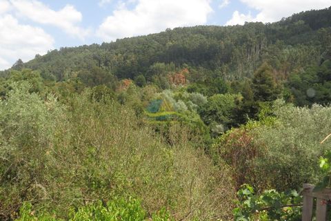 Villa i Miranda do Corvo, Coimbra, Miranda do Corvo - € 49.000 | Ref: ko2335 - foto 17