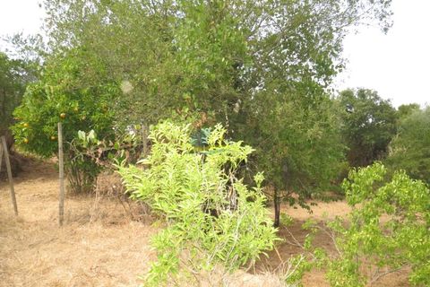 Villa i Miranda do Corvo, Coimbra, Miranda do Corvo - € 49.000 | Ref: ko2335 - foto 18