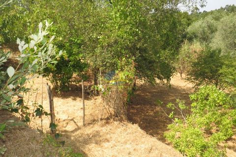 Villa i Miranda do Corvo, Coimbra, Miranda do Corvo - € 49.000 | Ref: ko2335 - foto 19