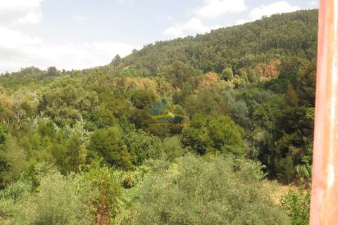 Villa i Miranda do Corvo, Coimbra, Miranda do Corvo - € 49.000 | Ref: ko2335 - foto 20
