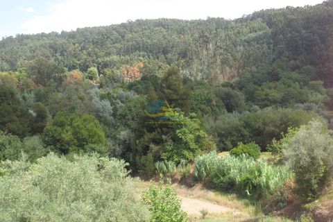 Villa i Miranda do Corvo, Coimbra, Miranda do Corvo - € 49.000 | Ref: ko2335 - foto 21