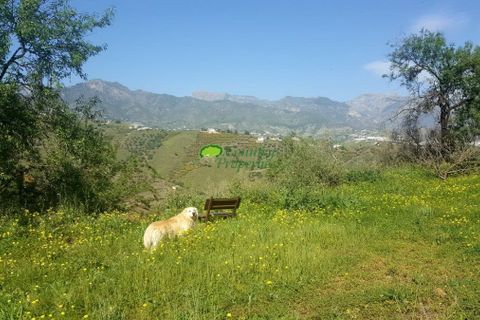 Erhvervsejendom i Torrox, Malaga, Torrox - € 880.000 | Ref: 7456 - foto 44