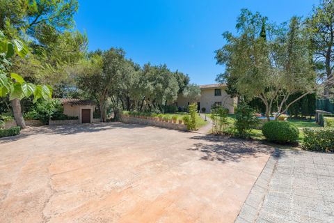 Cortijo i Pollenca, Mallorca, Pollenca - € 1 800 000 | Ref: POL52825ETVPOL5 - foto 22