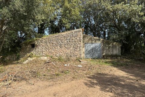 Helårsgrund i Arta, Mallorca, Arta - € 245.000 | Ref: 1166S - foto 1