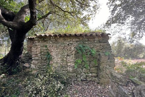 Helårsgrund i Arta, Mallorca, Arta - € 245.000 | Ref: 1166S - foto 2