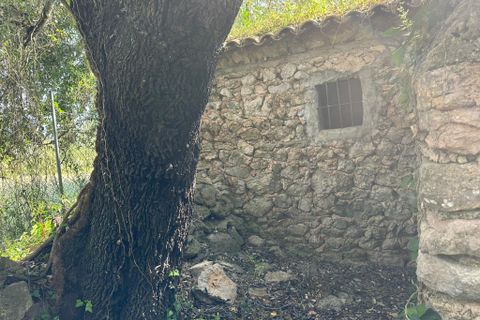 Helårsgrund i Arta, Mallorca, Arta - € 245.000 | Ref: 1166S - foto 3