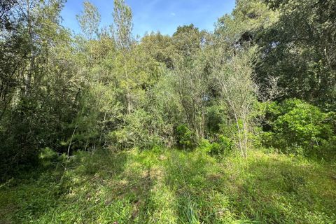 Helårsgrund i Arta, Mallorca, Arta - € 245.000 | Ref: 1166S - foto 4