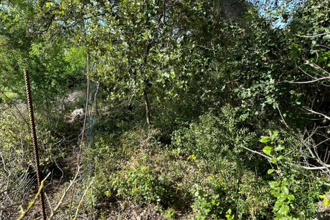 Helårsgrund i Arta, Mallorca, Arta - € 245.000 | Ref: 1166S - foto 5