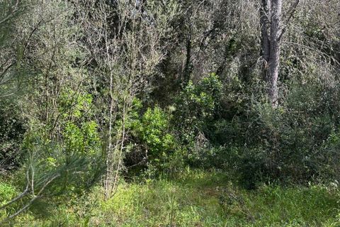 Helårsgrund i Arta, Mallorca, Arta - € 245.000 | Ref: 1166S - foto 6