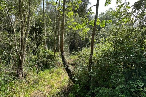 Helårsgrund i Arta, Mallorca, Arta - € 245.000 | Ref: 1166S - foto 7