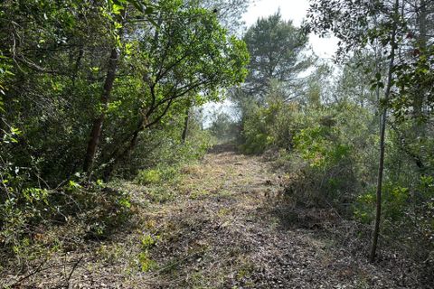 Helårsgrund i Arta, Mallorca, Arta - € 245.000 | Ref: 1166S - foto 10