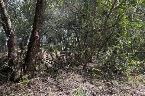 Helårsgrund i Arta, Mallorca, Arta - € 245.000 | Ref: 1166S - foto 11