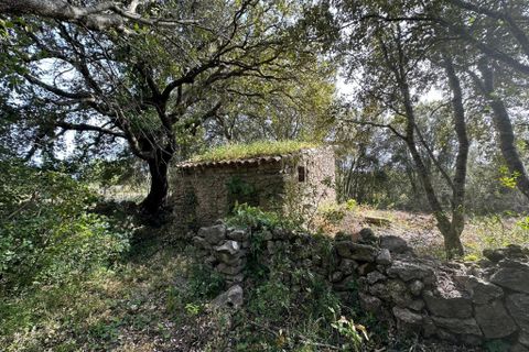 Helårsgrund i Arta, Mallorca, Arta - € 245.000 | Ref: 1166S - foto 13