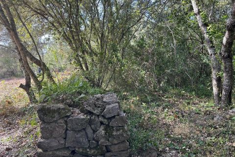 Helårsgrund i Arta, Mallorca, Arta - € 245.000 | Ref: 1166S - foto 15